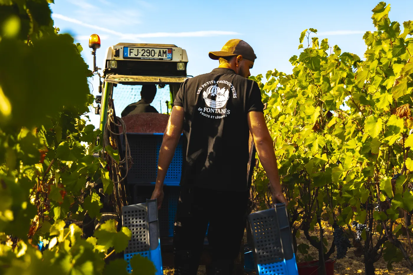 Vendanges 2026 à la Maison Blanc Senthille — photo 9