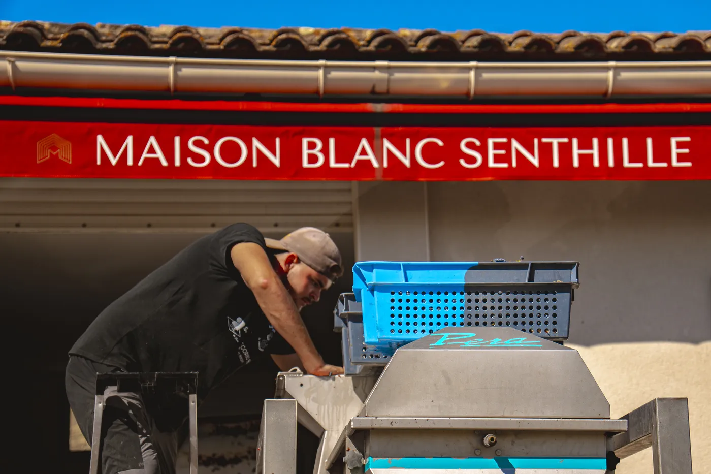 Vendanges 2026 à la Maison Blanc Senthille — photo 12