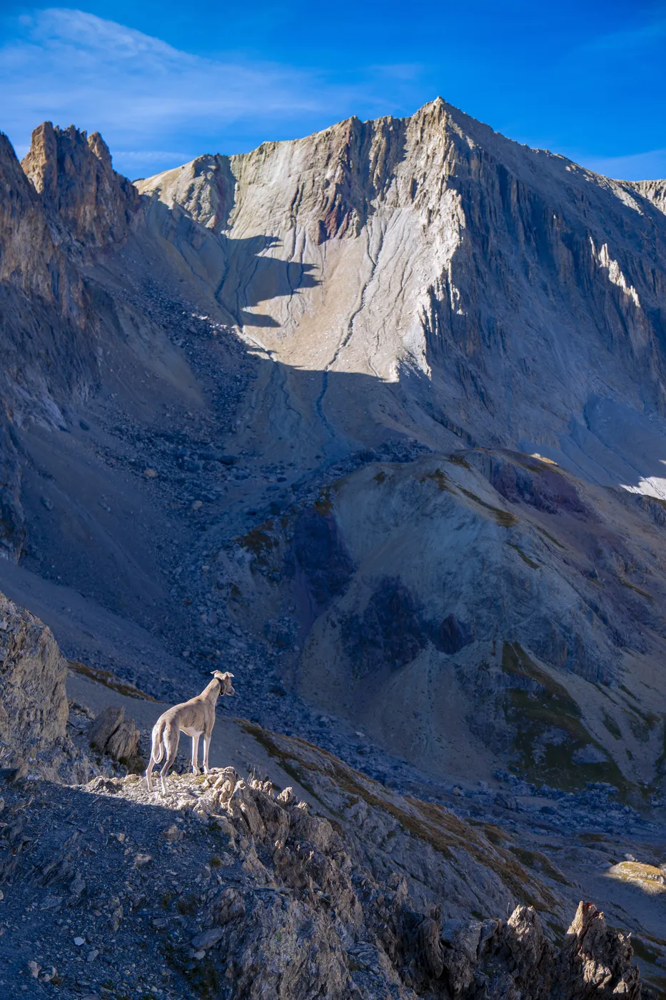 Alpes, été, Lacs et crêtes — photo 13