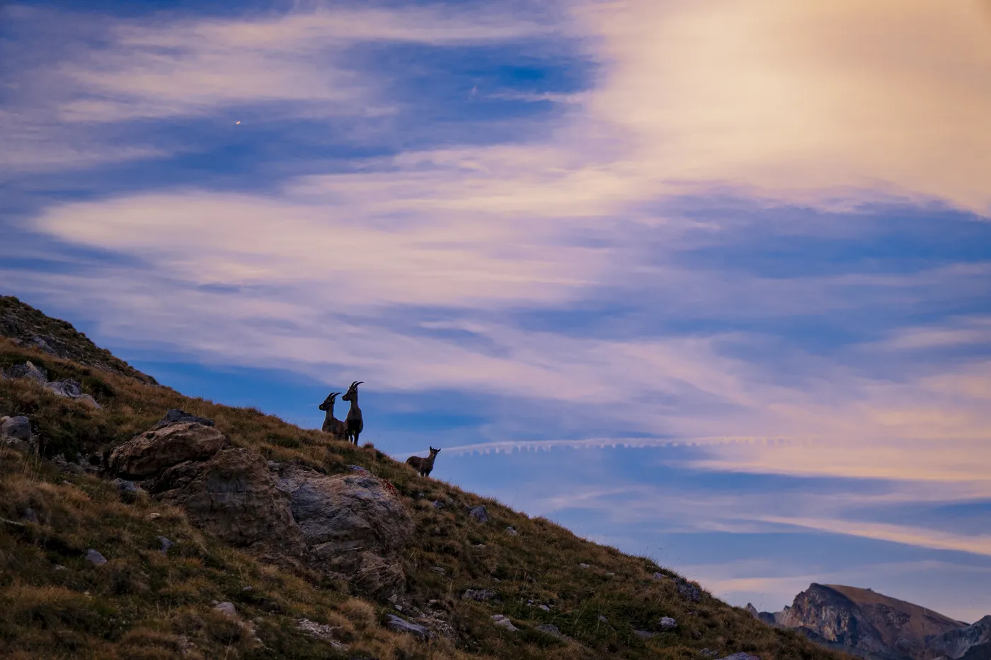 Alpes, été, Lacs et crêtes — photo 4