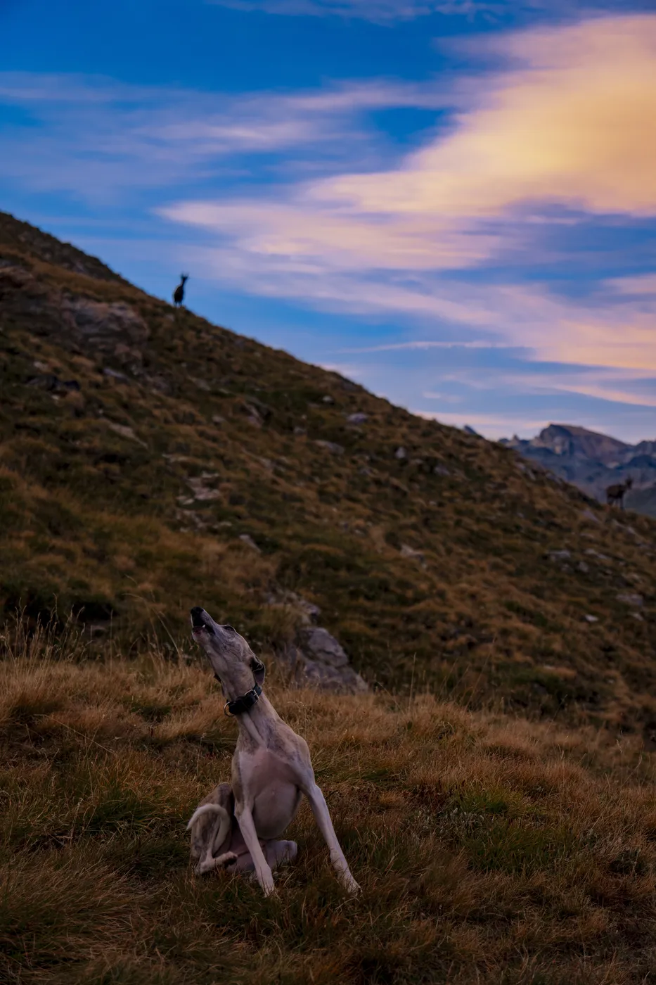 Alpes, été, Lacs et crêtes — photo 24