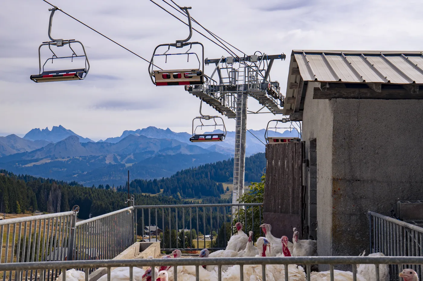 TSF4 Brésy, remontée mécanique à Praz de Lys–Sommand — photo 9